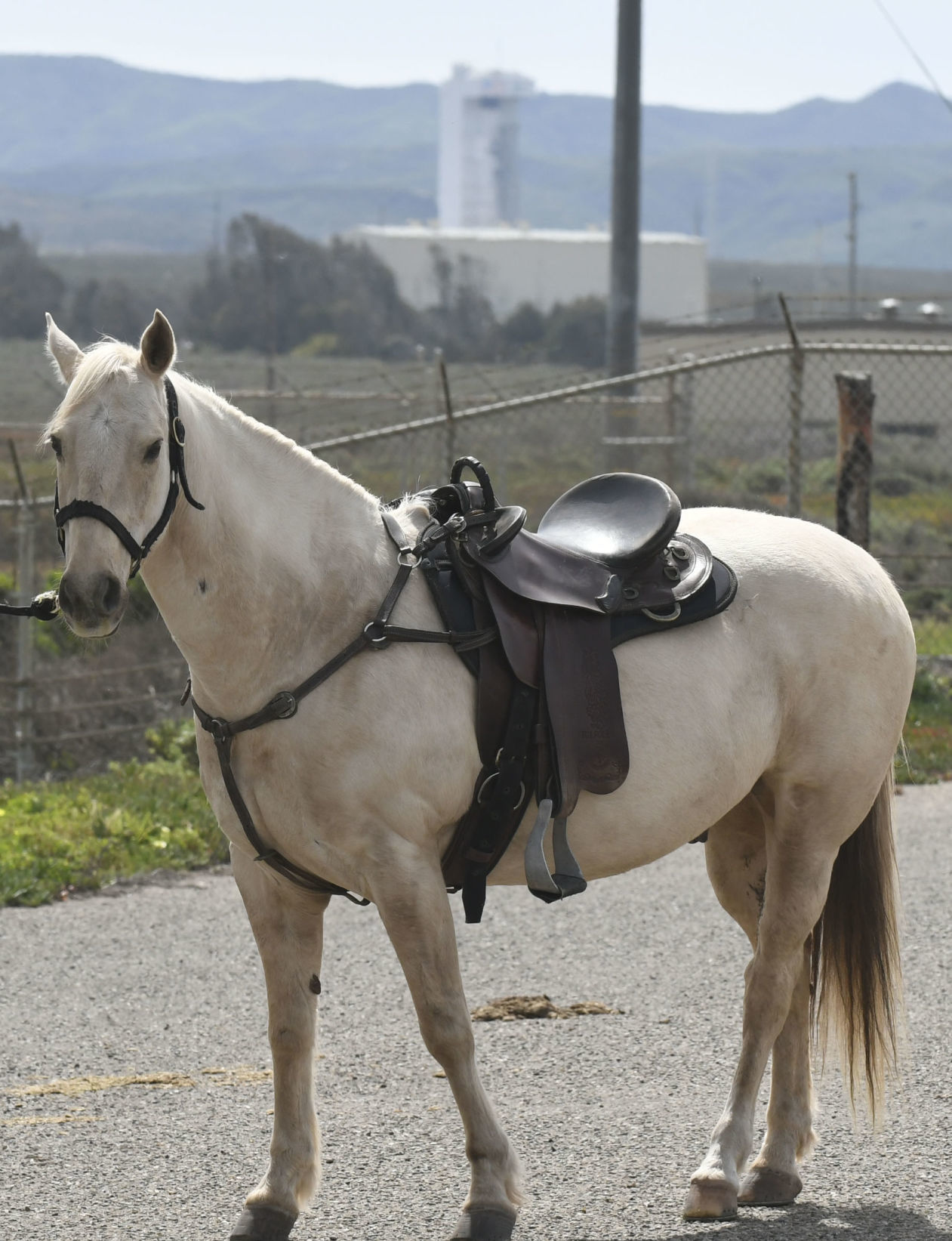 031919 VAFB horse patrol 06.jpg